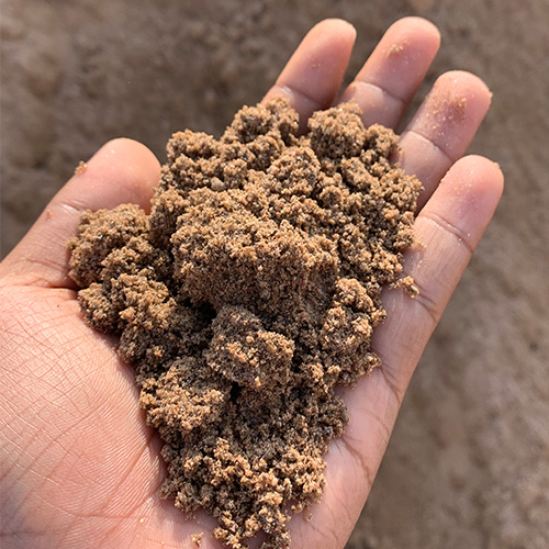 doctorsand plaster-sand