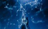 Top Digital Marketing Company in NSP: Elevate Your Brand’s Online Presence